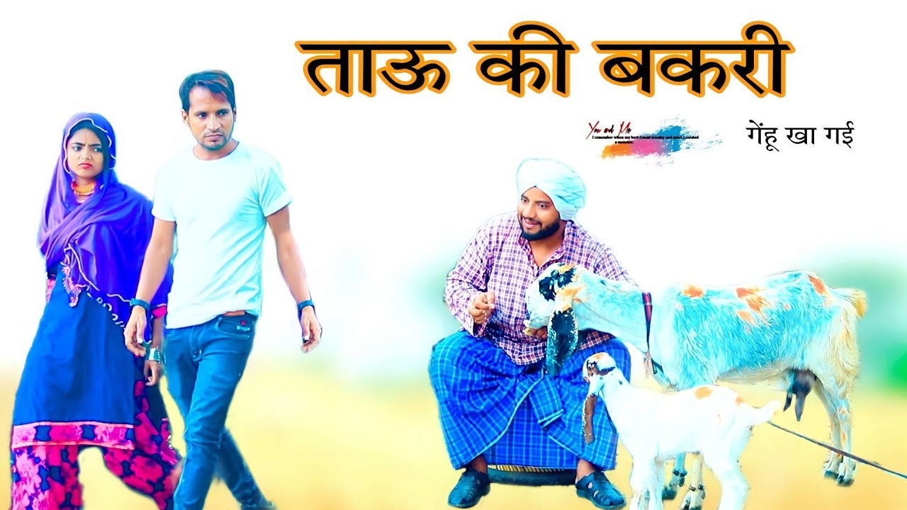 ताऊ की बकरी  @HAKKU SINGARIYA  // Haseen Singariya