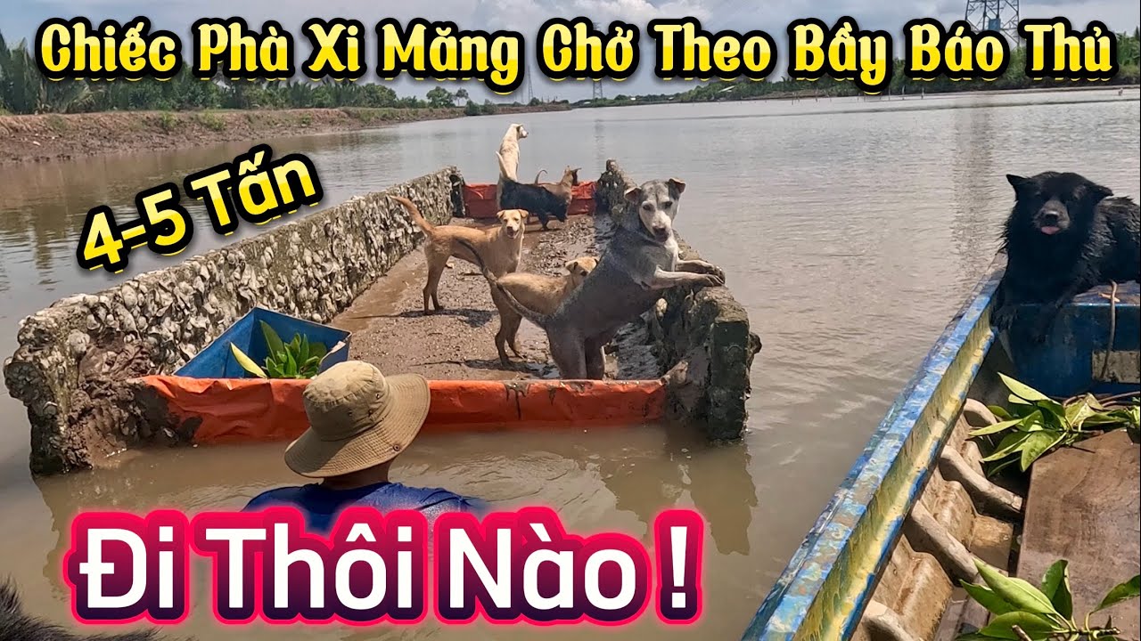 Cả Nhà Phụ Giúp Anh2 Di Chuyển Cái Máng Nặng Hơn 4 Tấn Trôi Giữa Sông