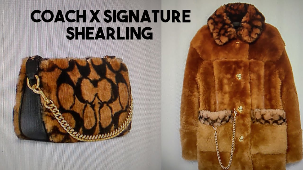 Coach X Jennifer Lopez in Signature Shearling| My favorite picks| Affordable Luxe TV