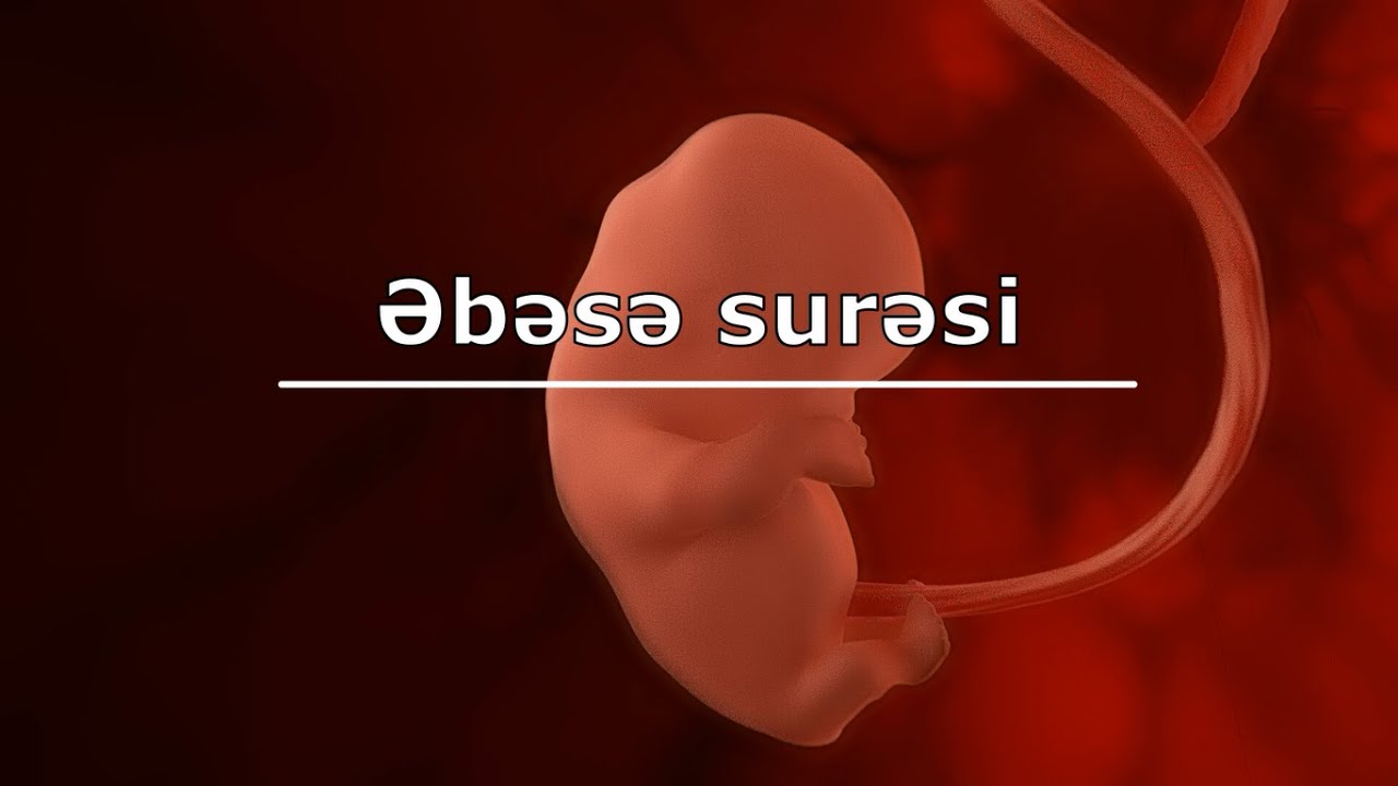 Əbəsə surəsi və mənaca tərcüməsi. Oxuyur Mişary Raşid Əl-Afasy