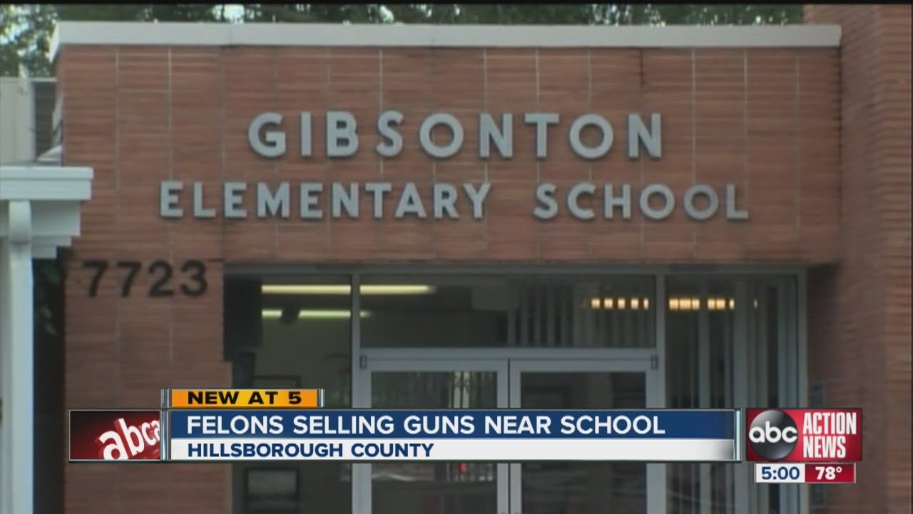Gibsonton flower shop selling guns and drugs, according to deputies