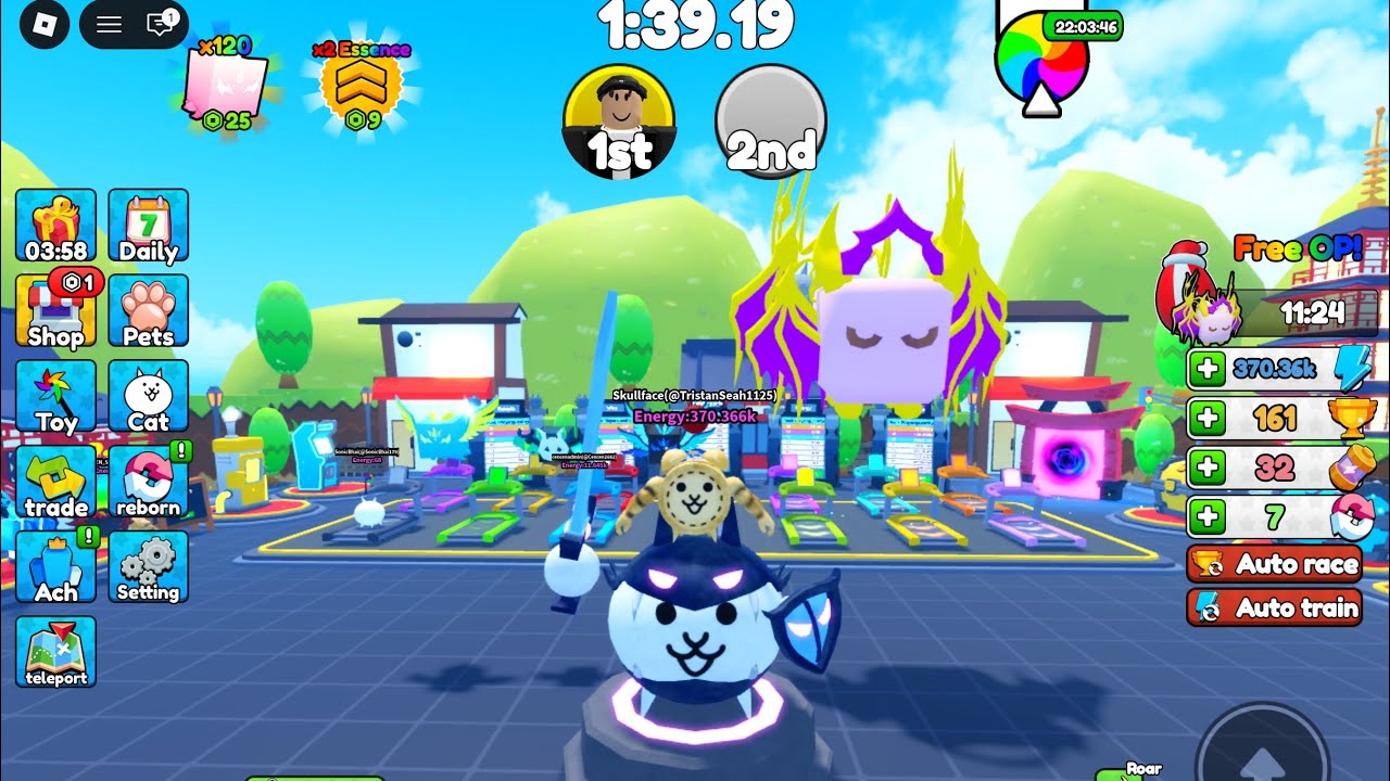 Playing battle cat training