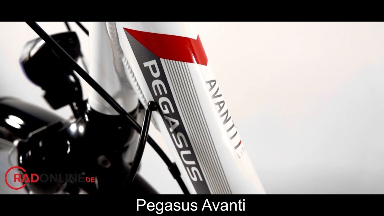 PEGASUS AVANTI 2019 | RadOnline.de