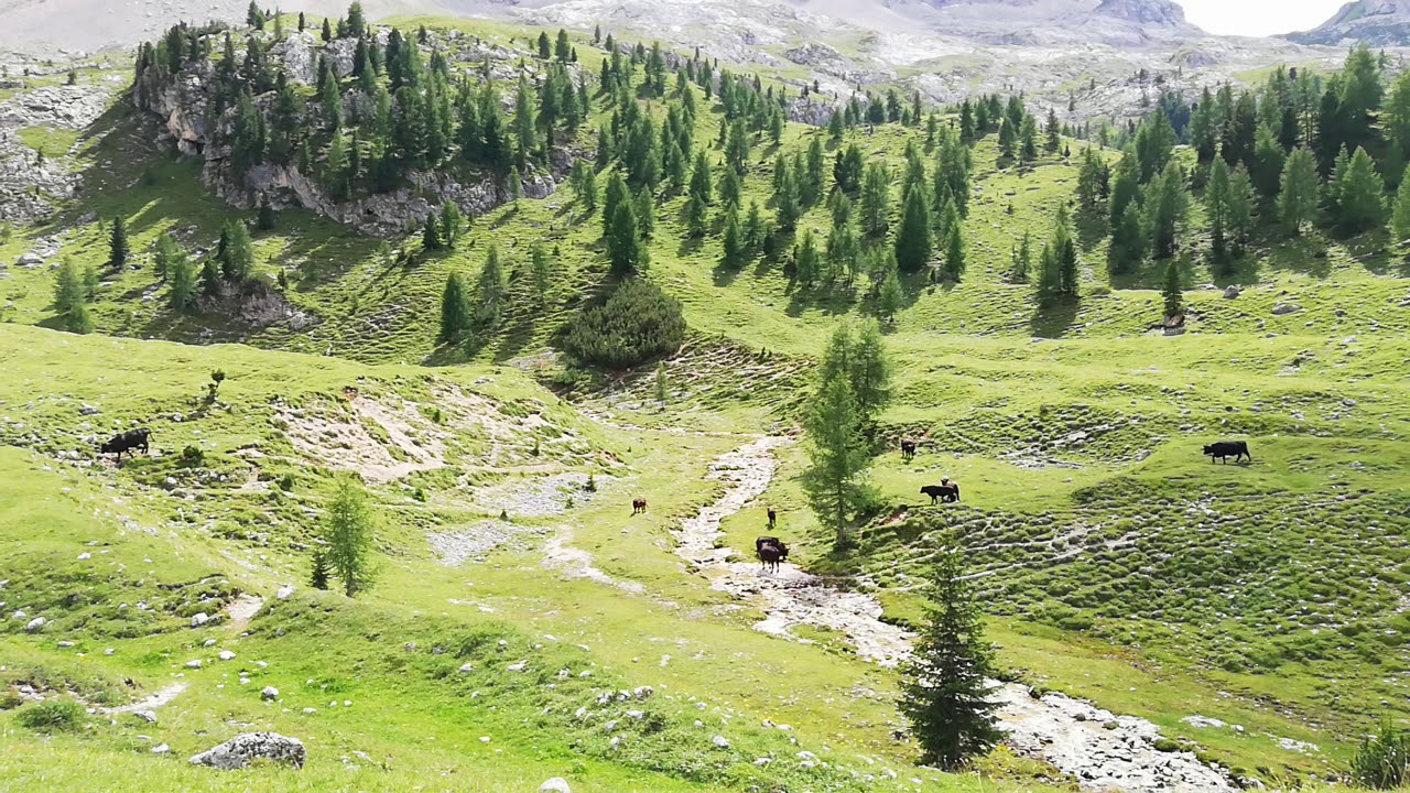 Val di Fassa - camera fissa