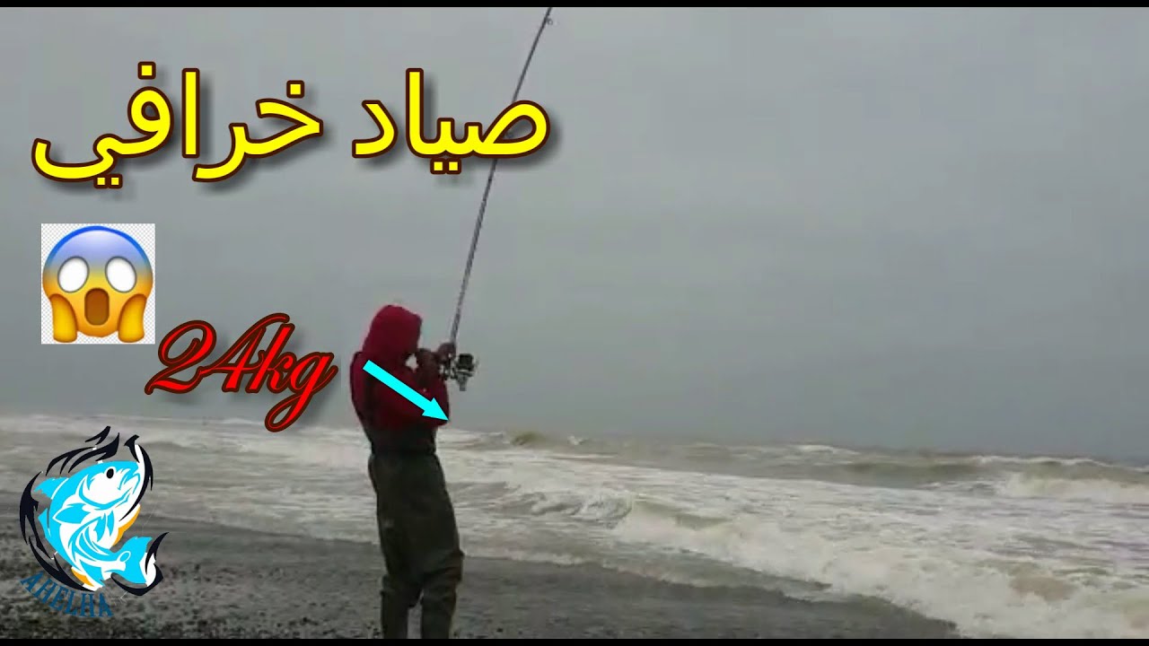 رحلة صيد السمك رقم 135…:  سمكة كوربين 24...….  - اهلها لصيد السمك - sea fishing 🎣