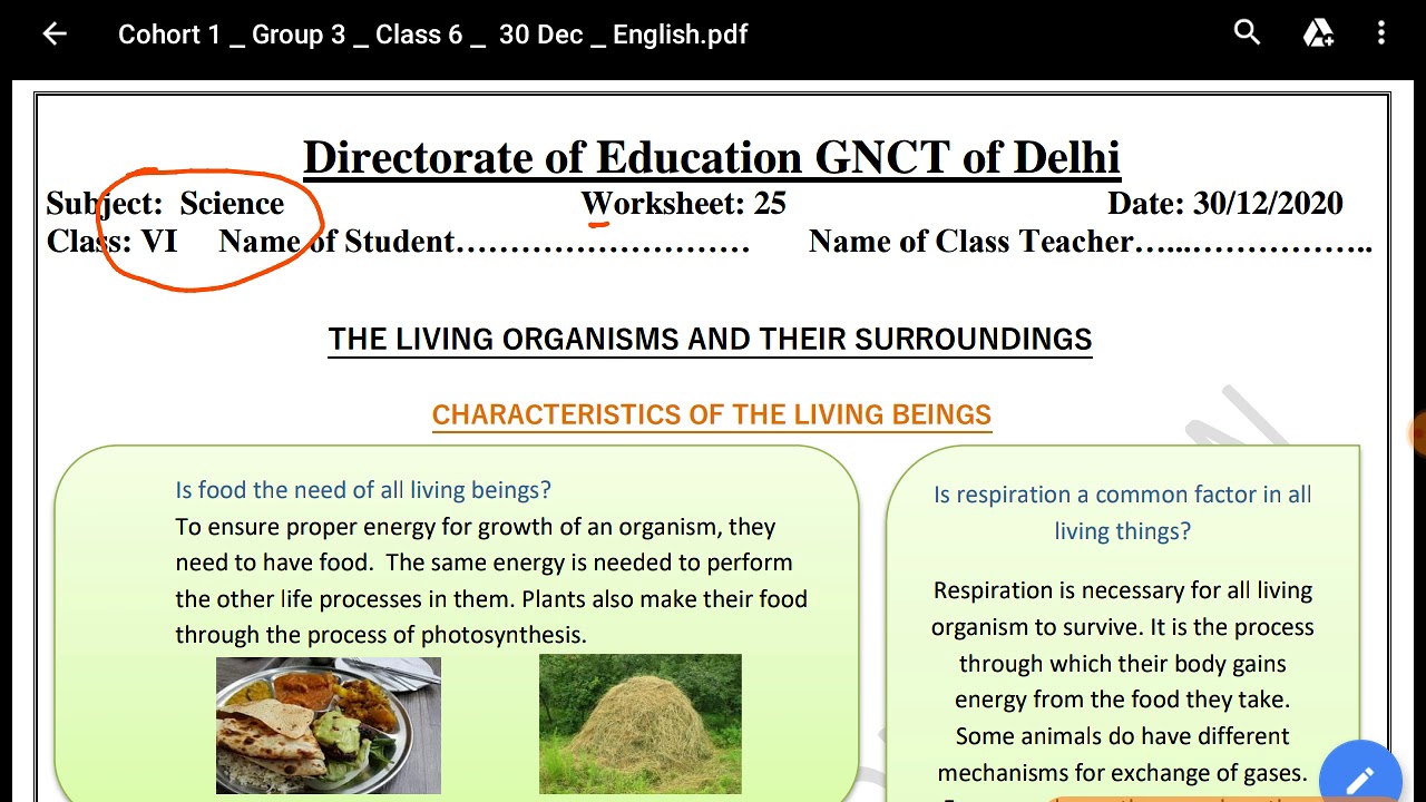science worksheet 25 class 6(30/12/2020) english medium || worksheet 25 class 6 science