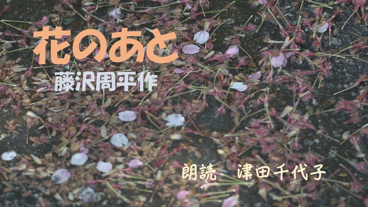 「花のあと」　藤沢周平作　　朗読　津田千代子