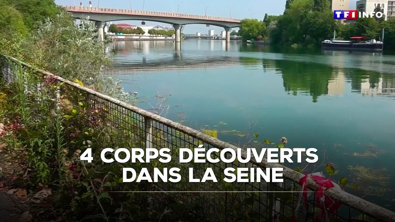 4 corps découverts dans la Seine｜TF1 INFO