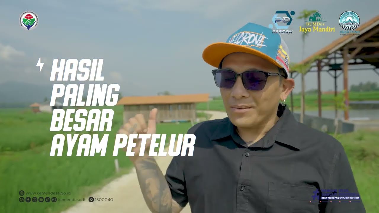 Dari Ayam Petelur, Desa menjadi Mahsyur #bangundesabangunindonesia