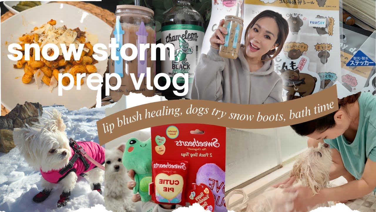 Healing, Snowstorm, and Dogs Who Hate Boots Vlog