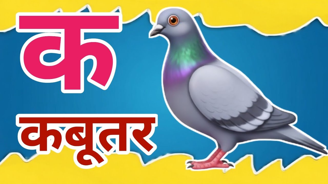 क से कबूतर, अ से अनार a se anaar k se kabutar I Hindi varnmala I ABCD क से कबूतर अ से अनार, for kids