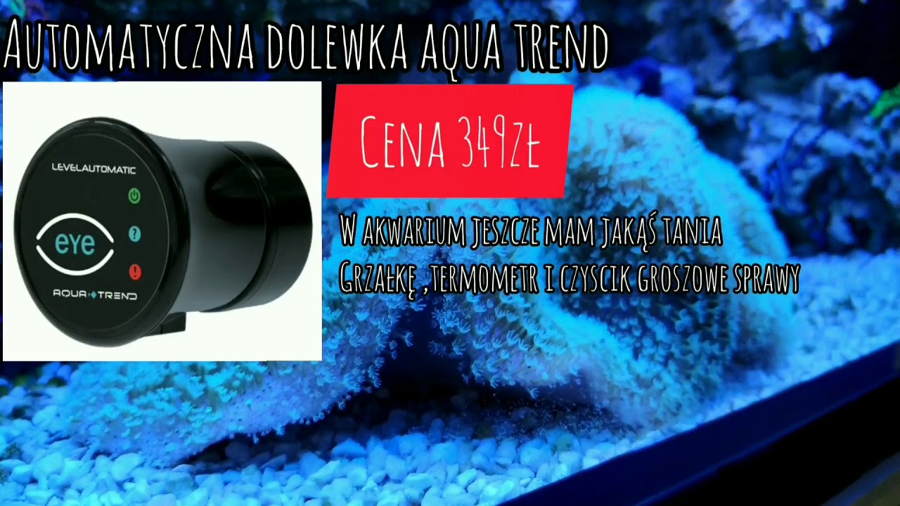 Tanie Akwarium morskie odc.10 Opis sprzętu. #szopensshrimps #akwarystyka @tujestnemo