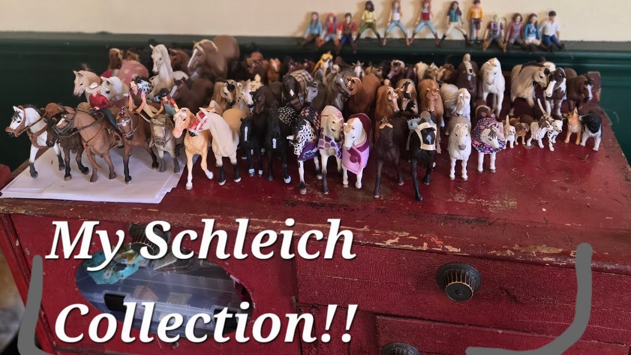My schleich collection and set up!! 😍 