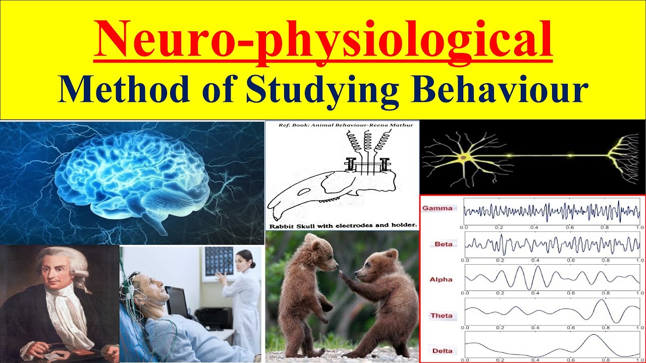 Neurophysiological method of studying animal behaviour | method of studying behaviour