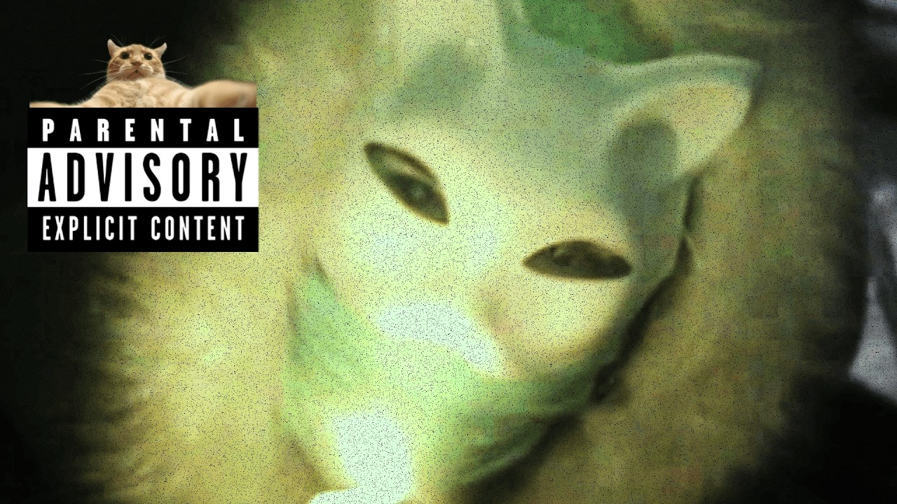 MEOW - Podaj mi dżoint