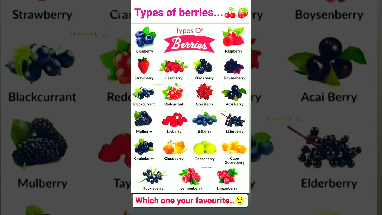 types of berries 🍒🍓 in english 🤔 with unique study..#berries #english