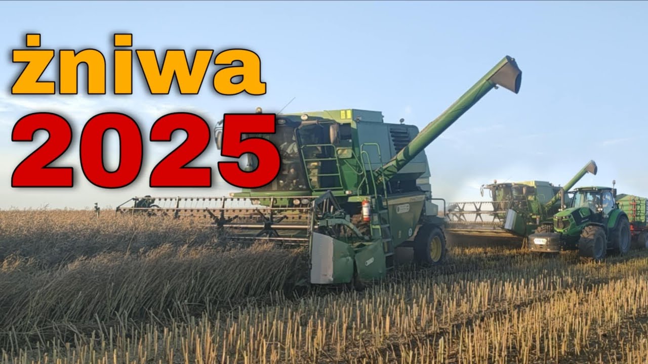 😳WIELKIE ŻNIWA RZEPACZANE NA LUBELSZCZYŹNIE!!!😎 Żniwa 2025✌️