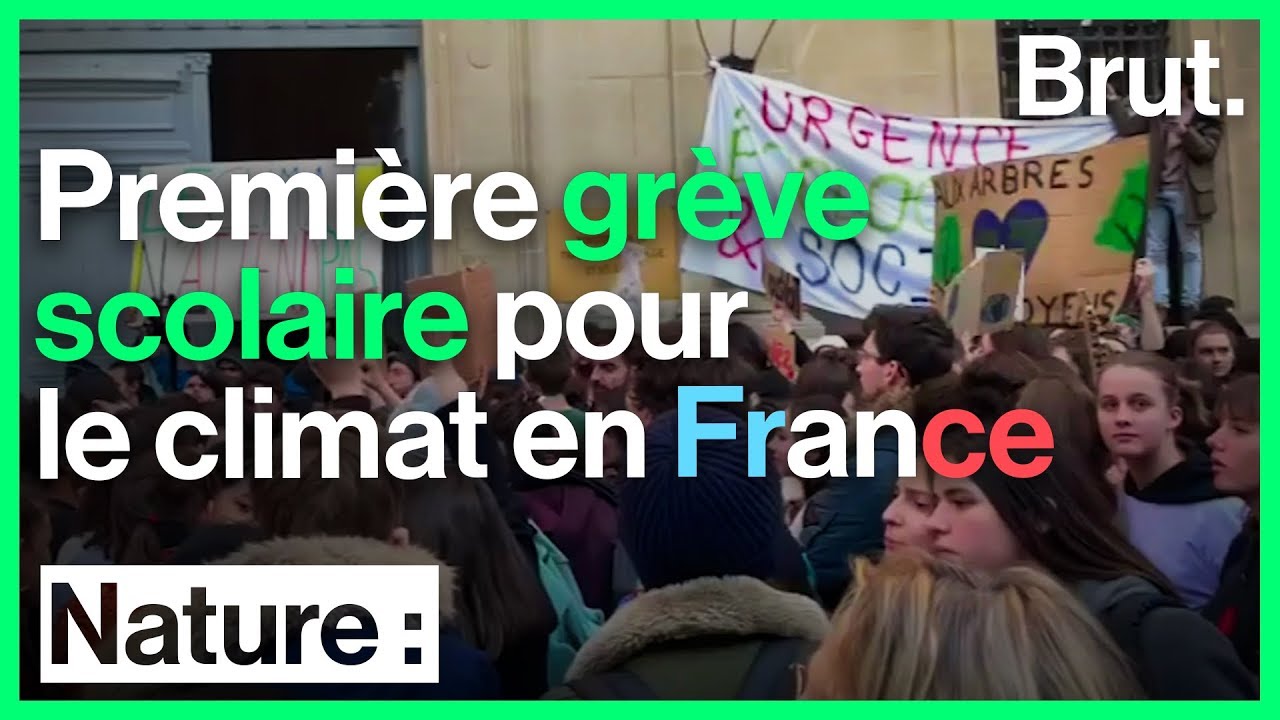 Lou, participante à la première grève scolaire pour le climat en France