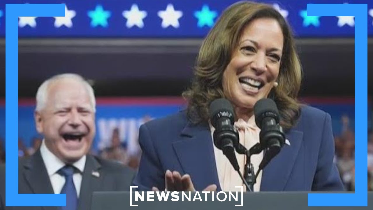 Democrats made critical mistakes: Democratic strategist | NewsNation Now