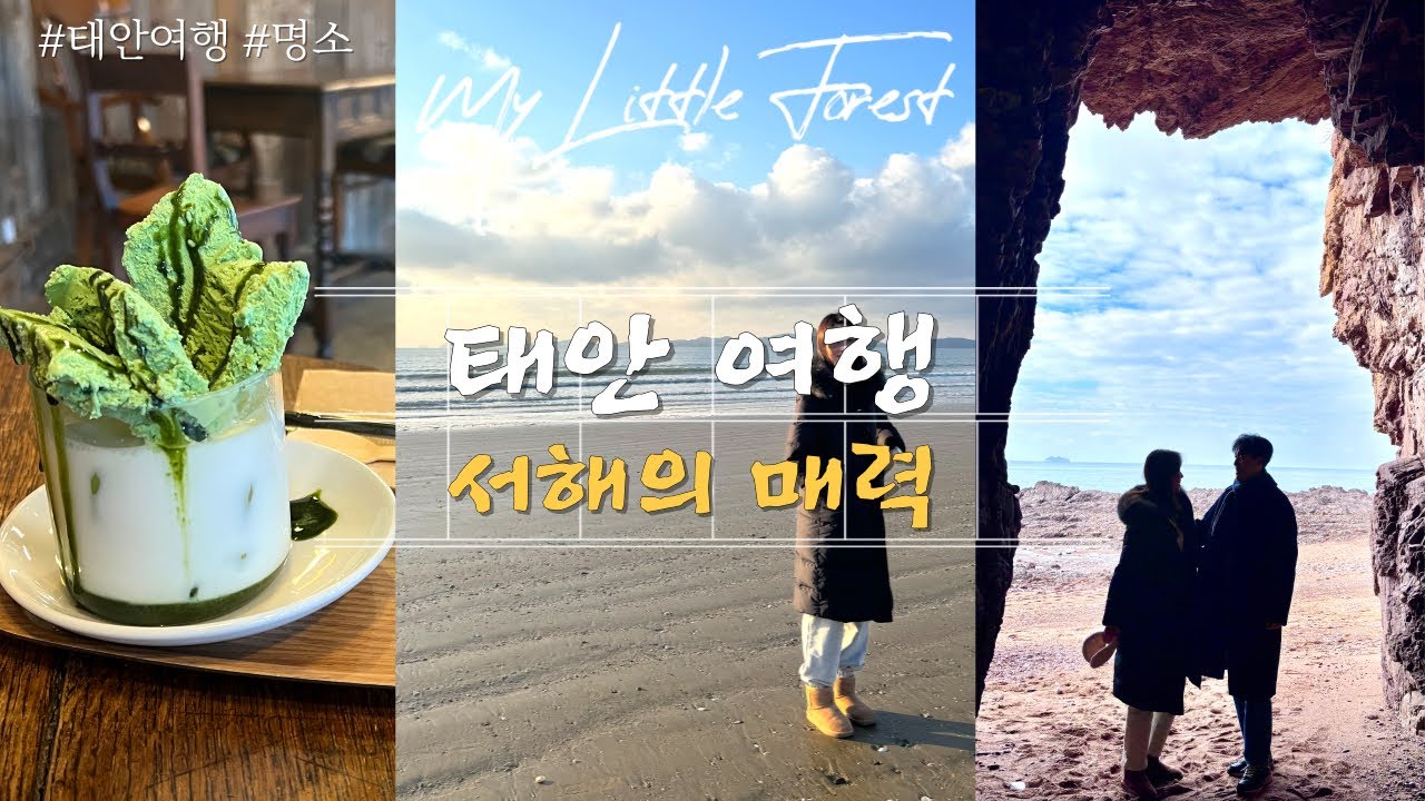 바다가 보이는 가성비 숙소 태안여행 로컬 맛집부터 특별한 바지락해장국까지🌊🦀