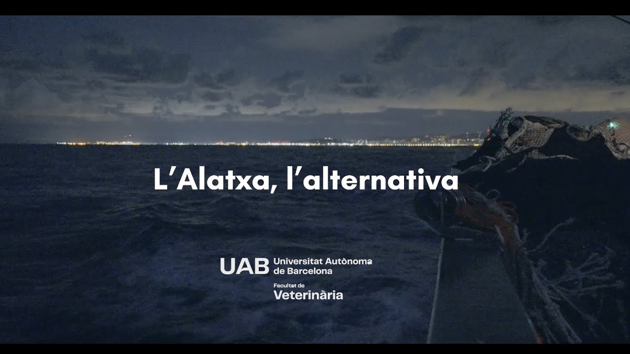 L'Alatxa, l'alternativa