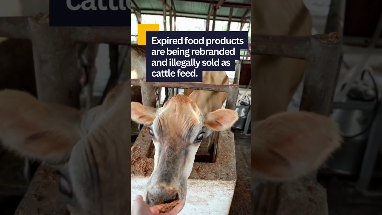 FSSAI's Major Crackdown on Expired Food Products | Breaking Food Industry News 2024