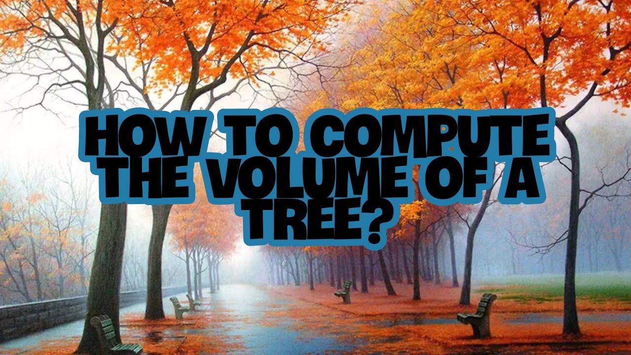 How to Compute the Volume of a Tree?