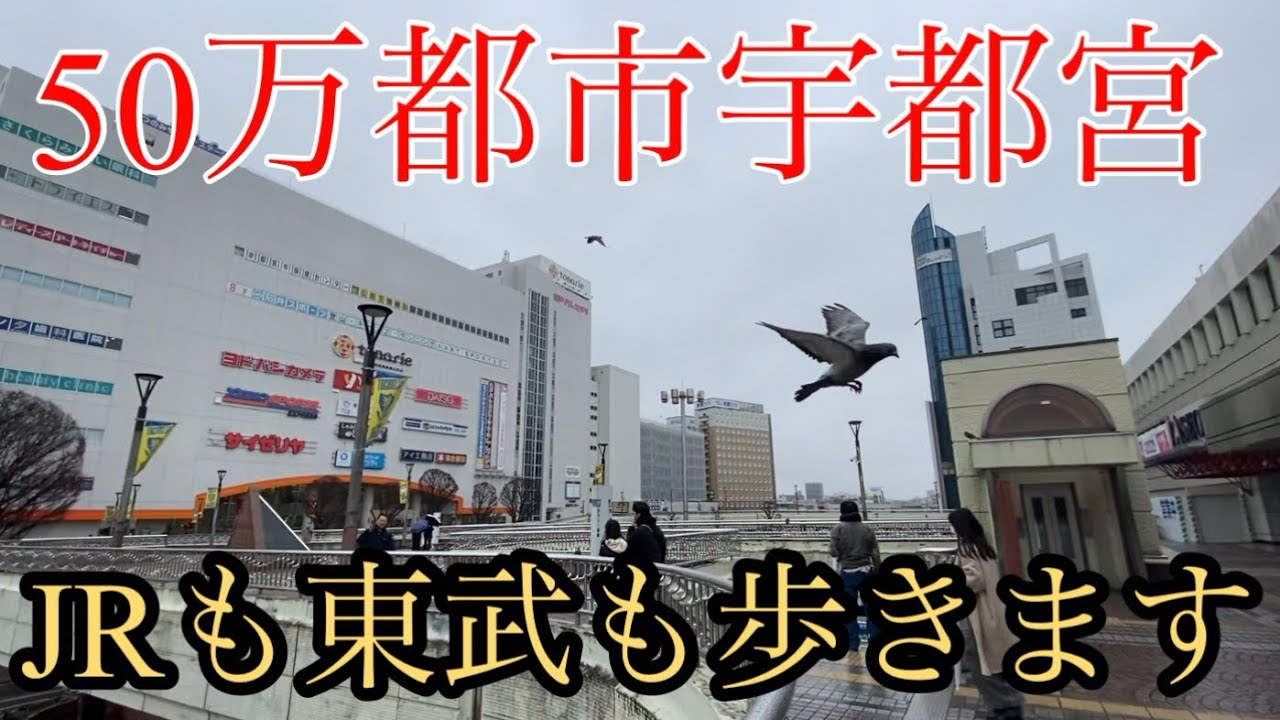 50万都市「宇都宮」！JR宇都宮より、東武宇都宮の方めっちゃ栄えてます！宇都宮市をまるっと散策！【栃木県宇都宮市】【北関東の旅シリーズ】