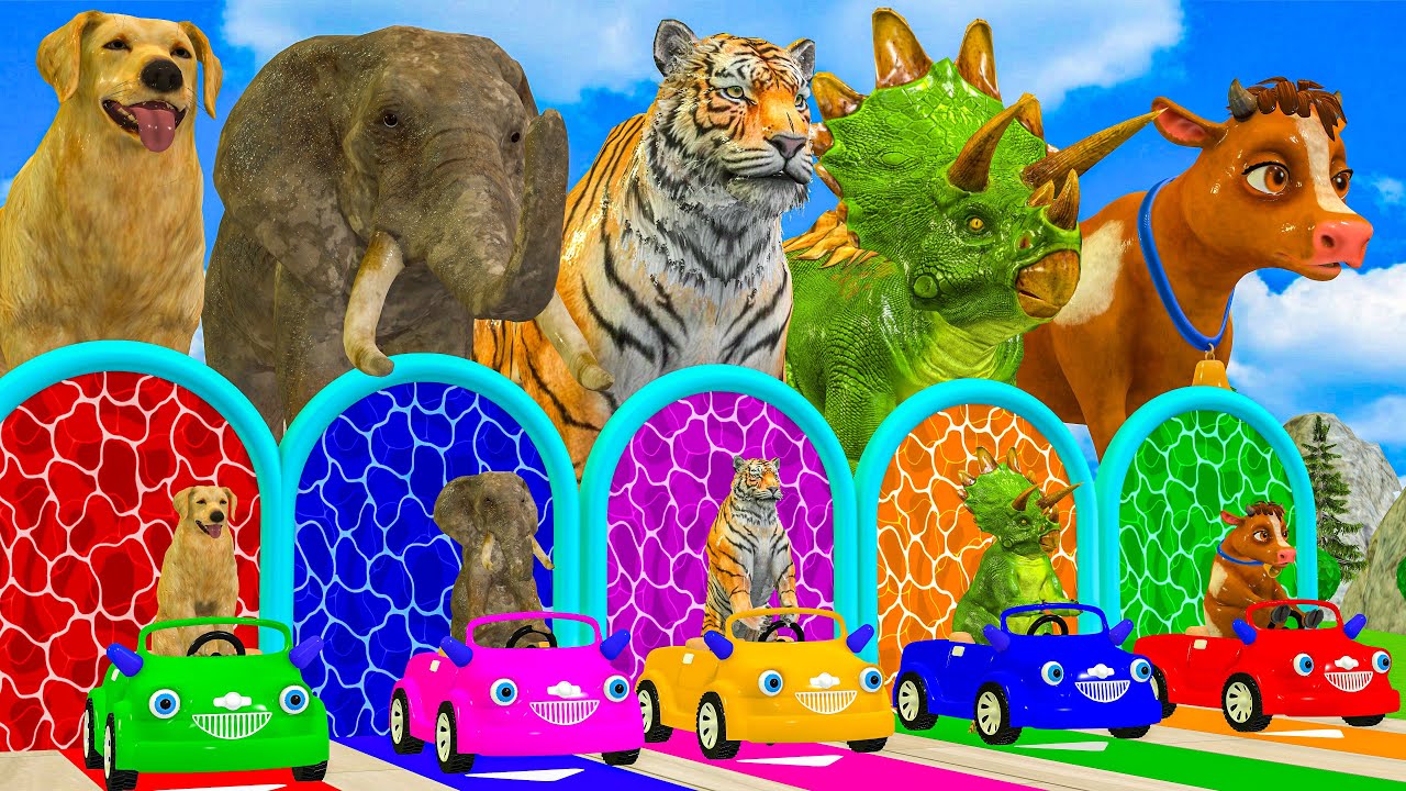 Long Slide Game With Cow Elephant Gorilla Hippopotamus Tiger - 3d Animal Game - Funny 3d Animals