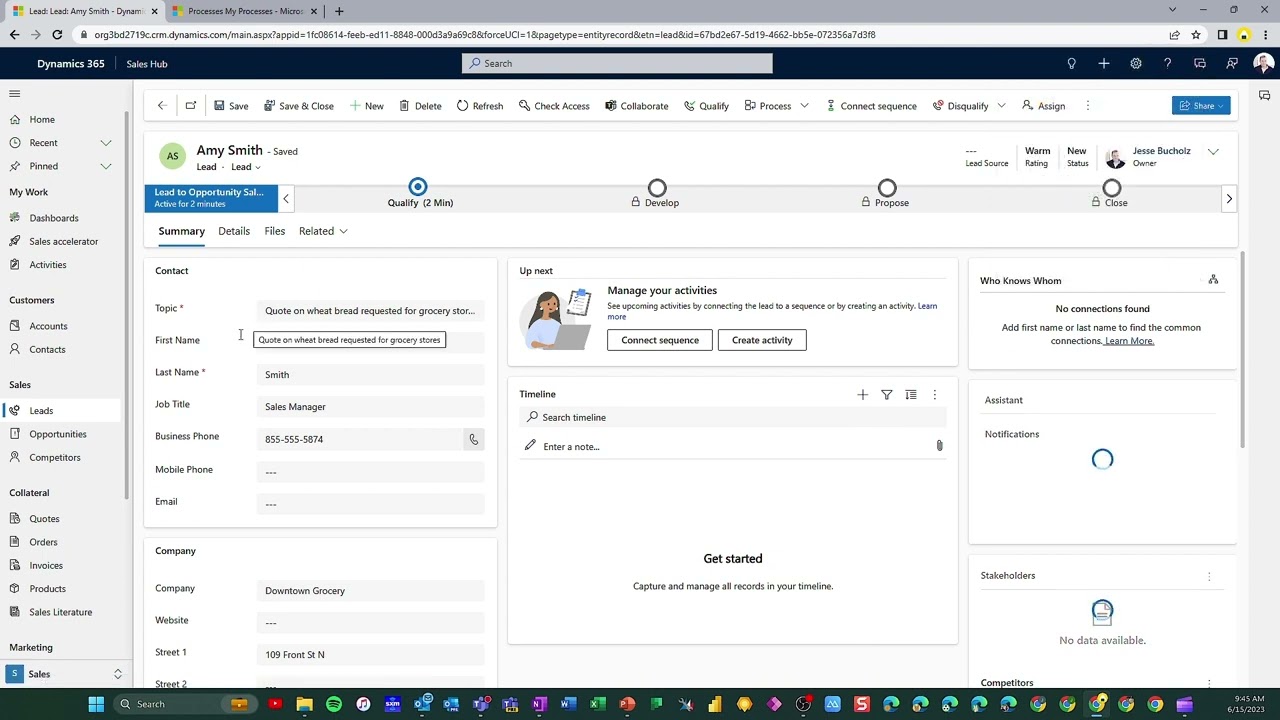 Dynamics 365 Sales - Lead to Opportunity Capabilities