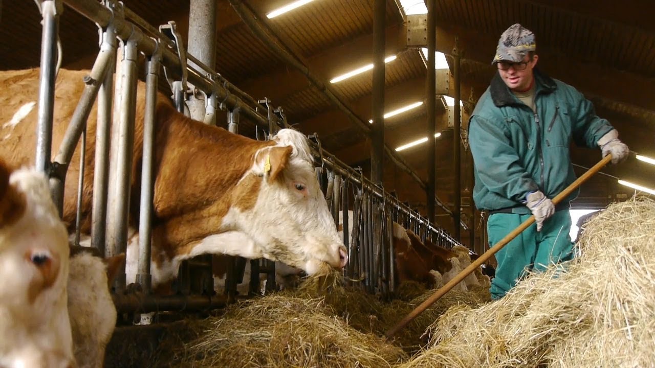 Bei unserem Paulinenhof wird Inklusion groß geschrieben