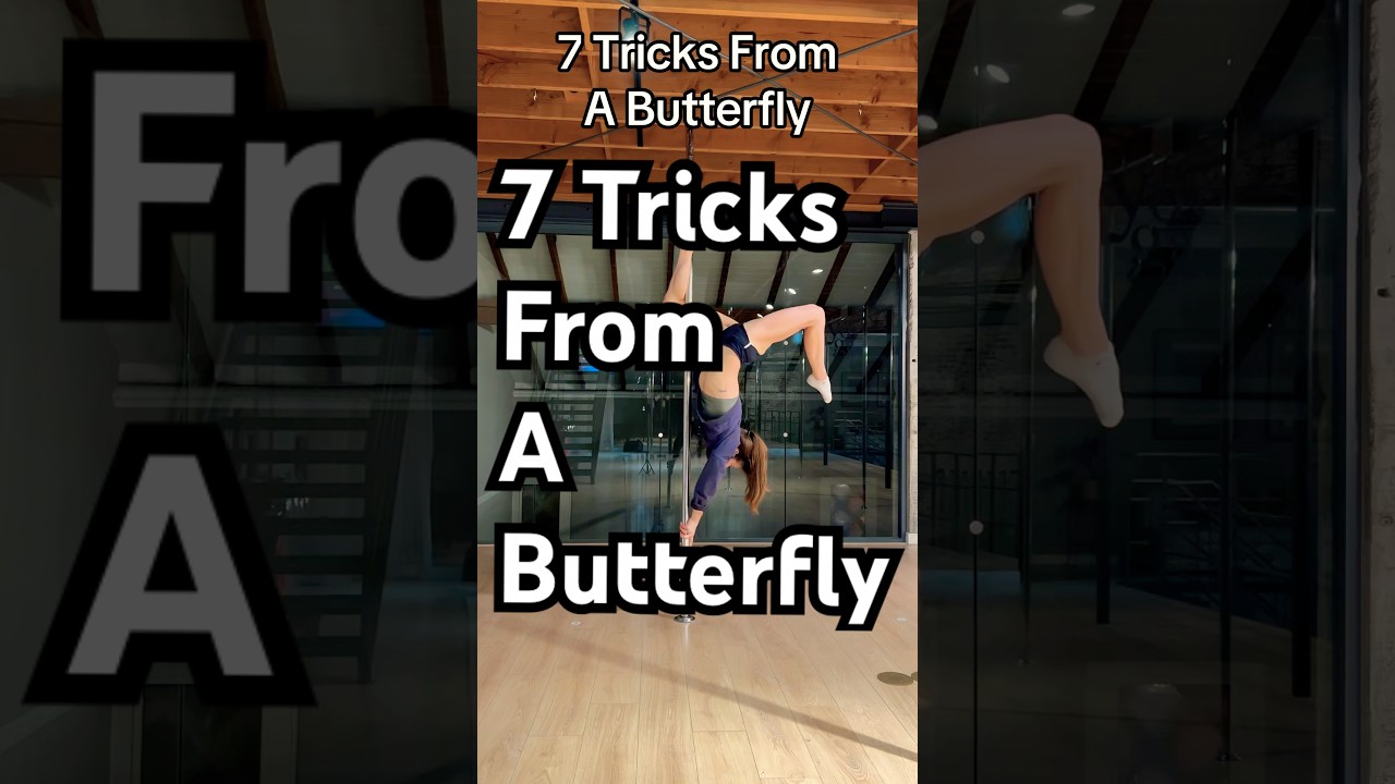 Seven Pole a Tricks From a Butterfly 🦋 #poledance #polesport #polefit
