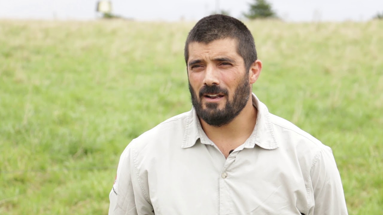 &iquest;C&oacute;mo usar las praderas este oto&ntilde;o para que produzcan mucho pasto?
