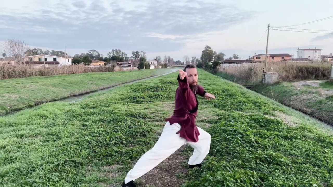 GLI ANIMALI DEL KUNG FU 🐉