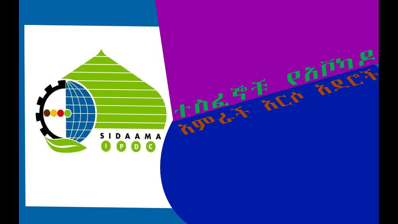 ተስፈኞቹ የአቮካዶ አምራች አርሶ አደሮች