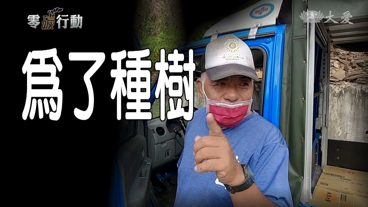 植物吸碳機制 造林種樹加速行動