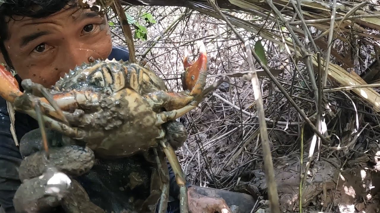 Giờ cuối tóm gọn một cặp cua