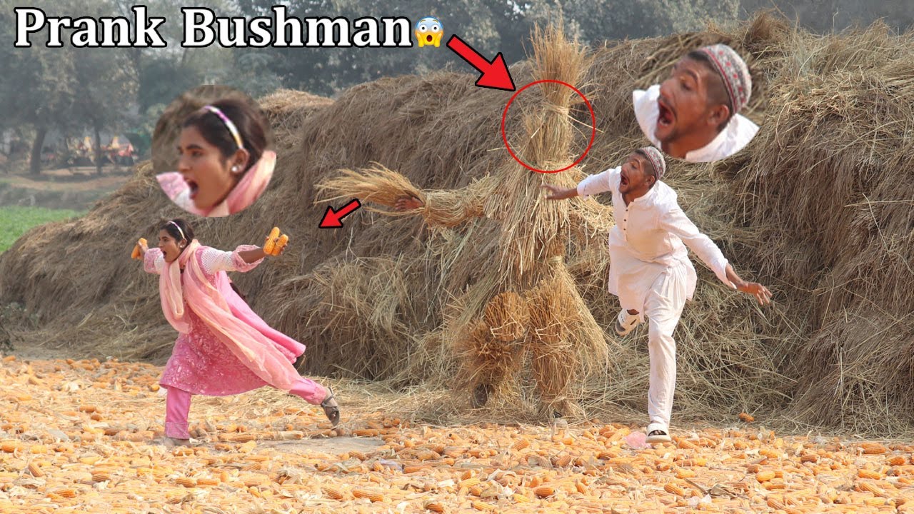 BEST OF Hilarity BUSHMAN-Pranks  Compilation 2025-Epic Reaction😄😅