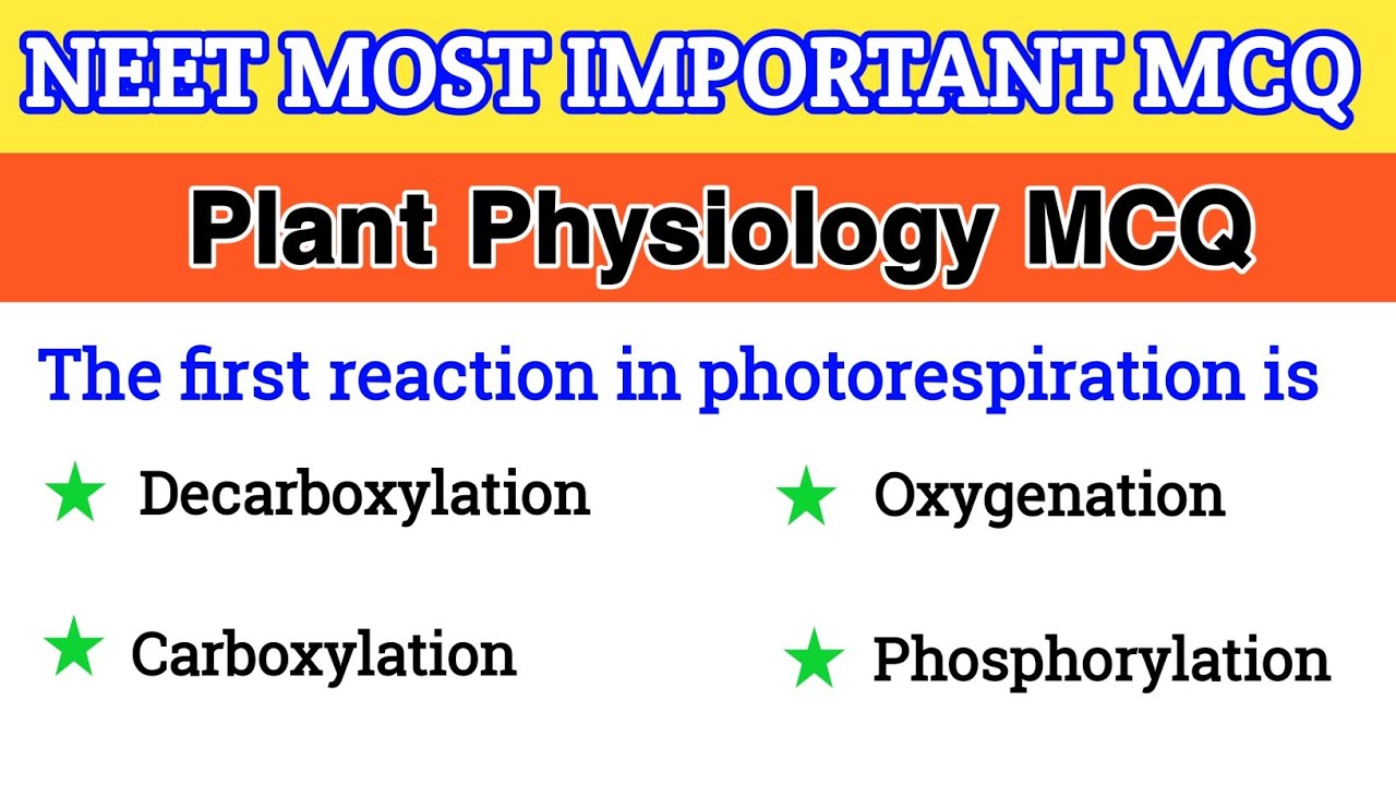 Plant Physiology Class 11 MCQ || Plant Physiology MCQ for NEET 2026