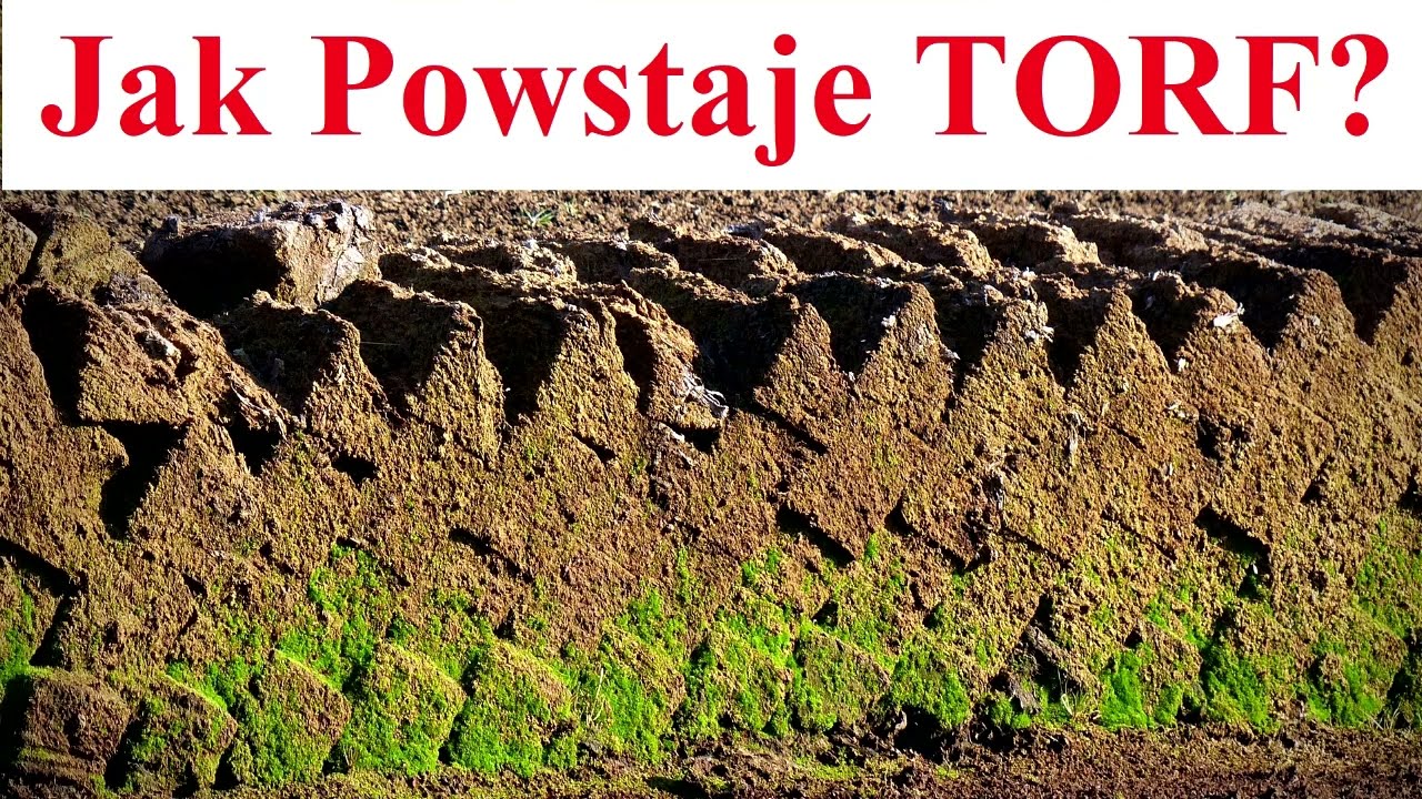 Jak Powstaje TORF