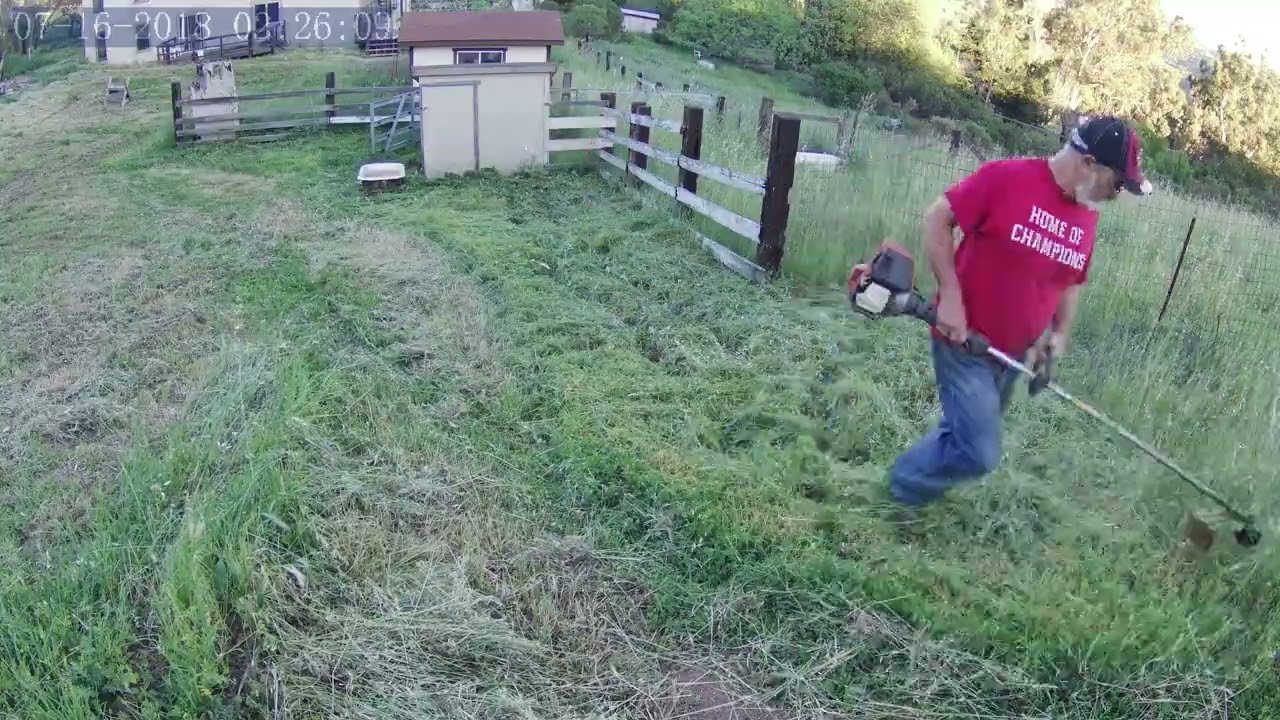 Hard work Philosophy Film 32 - Insane amount of weed whacking!