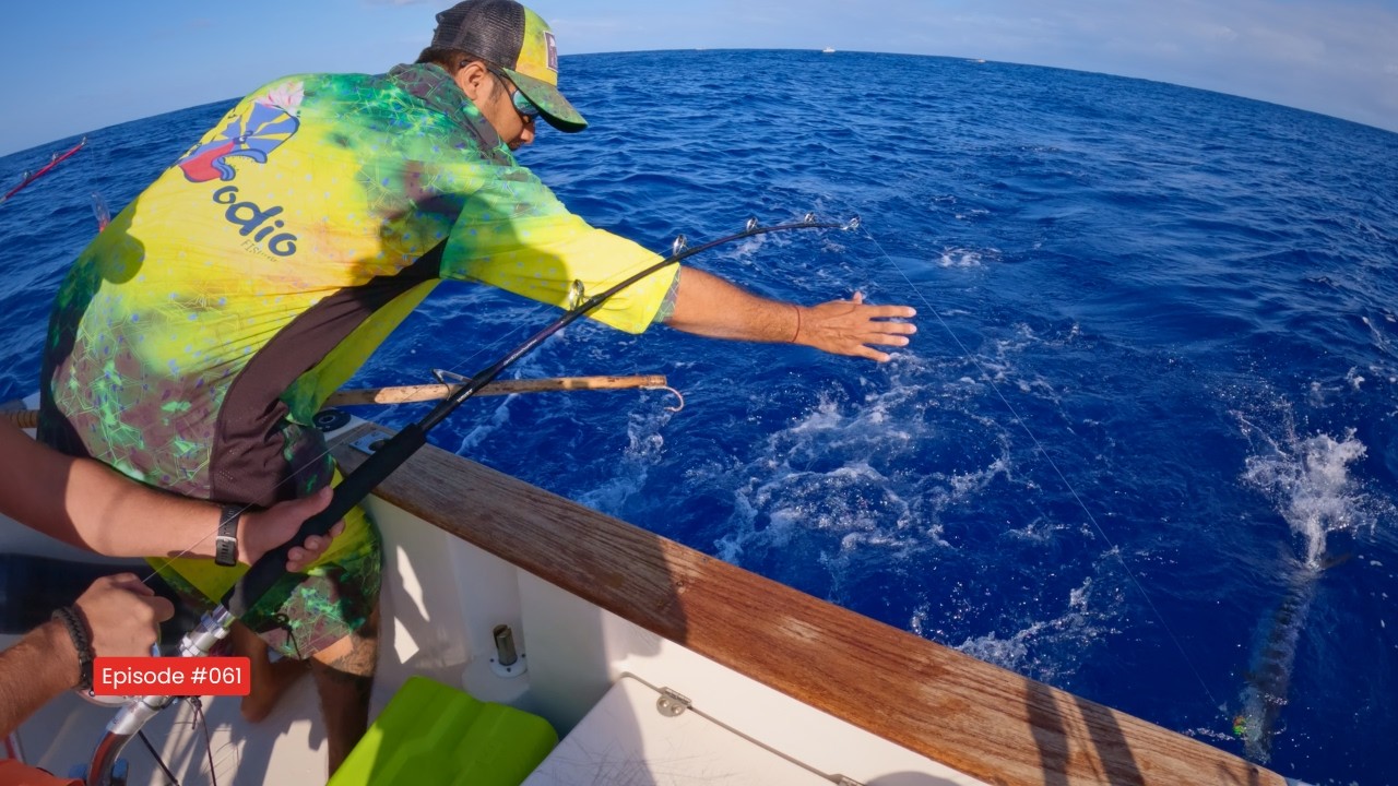 EVG sur l’eau : le rêve de tout pêcheur ! Un MARLIN en CADEAU ?!