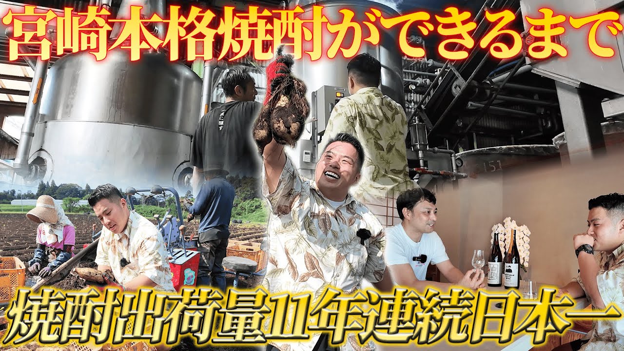 【11年連続日本一】宮崎本格焼酎を味わう！2つの酒蔵で美味しさの秘密を探る旅🍶💫