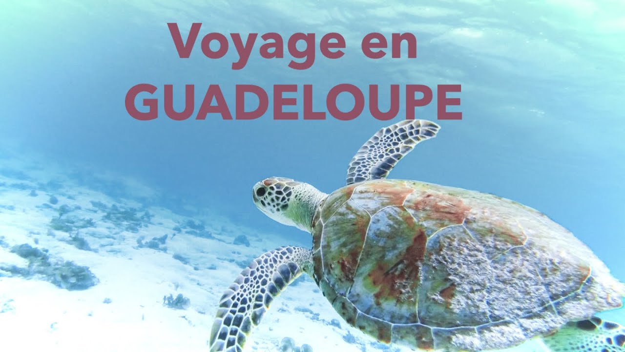 Notre voyage en Guadeloupe - Magique 🌴