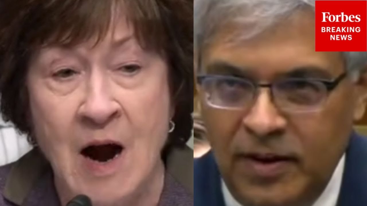 'China And Europe Are Actively Recruiting The Very Best': Collins Asks NIH Head About Impact Of Cuts