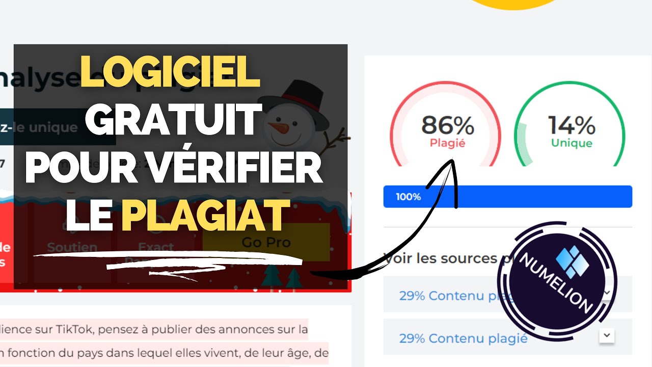 Logiciel de D&eacute;tection de Plagiat en Ligne 🖊️ [GRATUIT] 🖊️