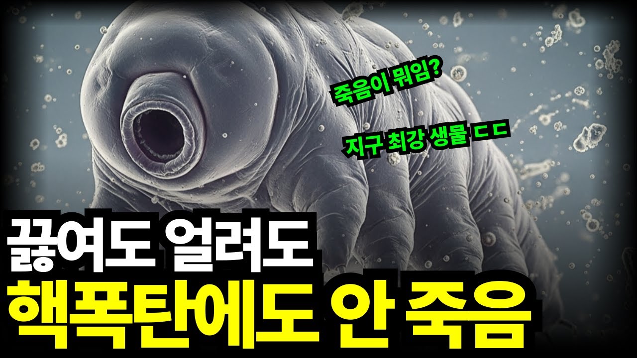 이미 죽었는데 다시 살아나는 지구 최강 생물