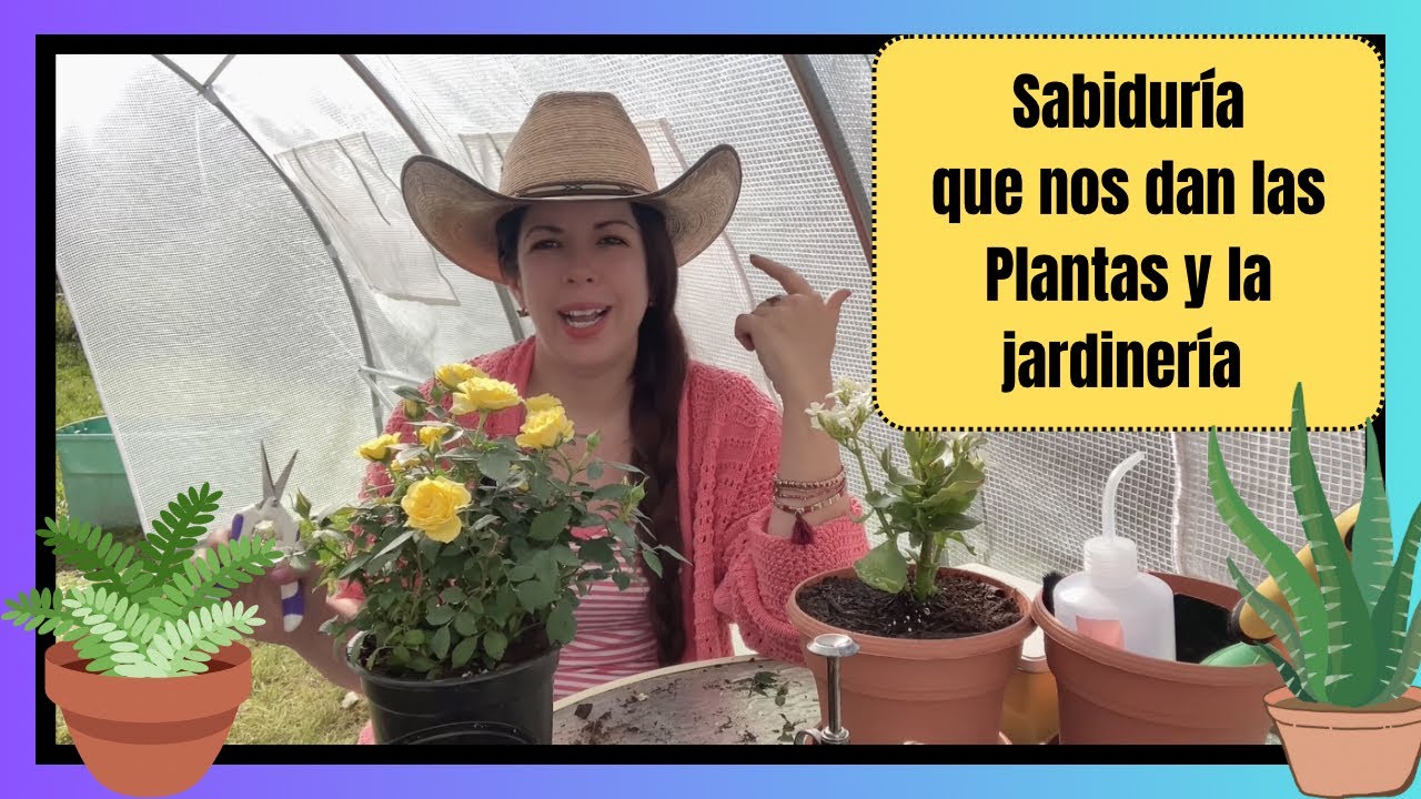 Que enseñanza de la vida me han dado las plantas? Podemos adquirir sabiduría de la jardinerí? ❤️❤️❤️