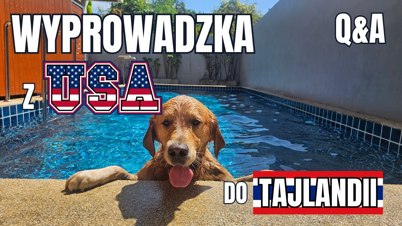 35. Ile kosztowała nas przeprowadzka z USA do Tajlandii? Koszt transportu psa. Q&A Tajlandia