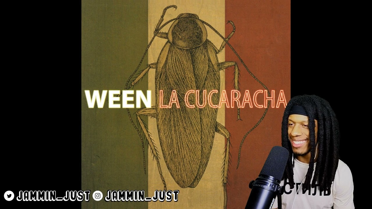 FIRST TIME HEARING Ween - Your Party REACTION